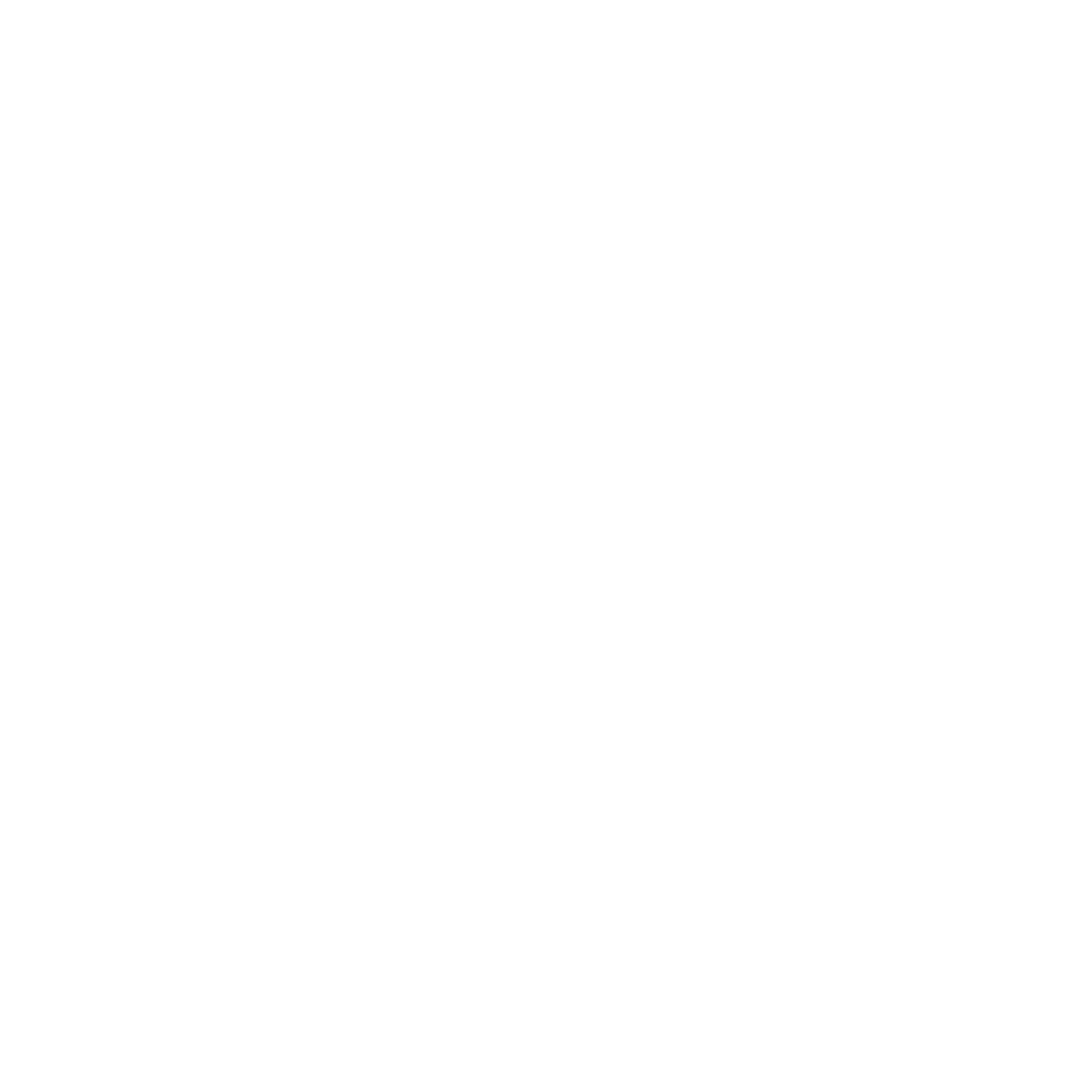 Viditz-Ward Financial